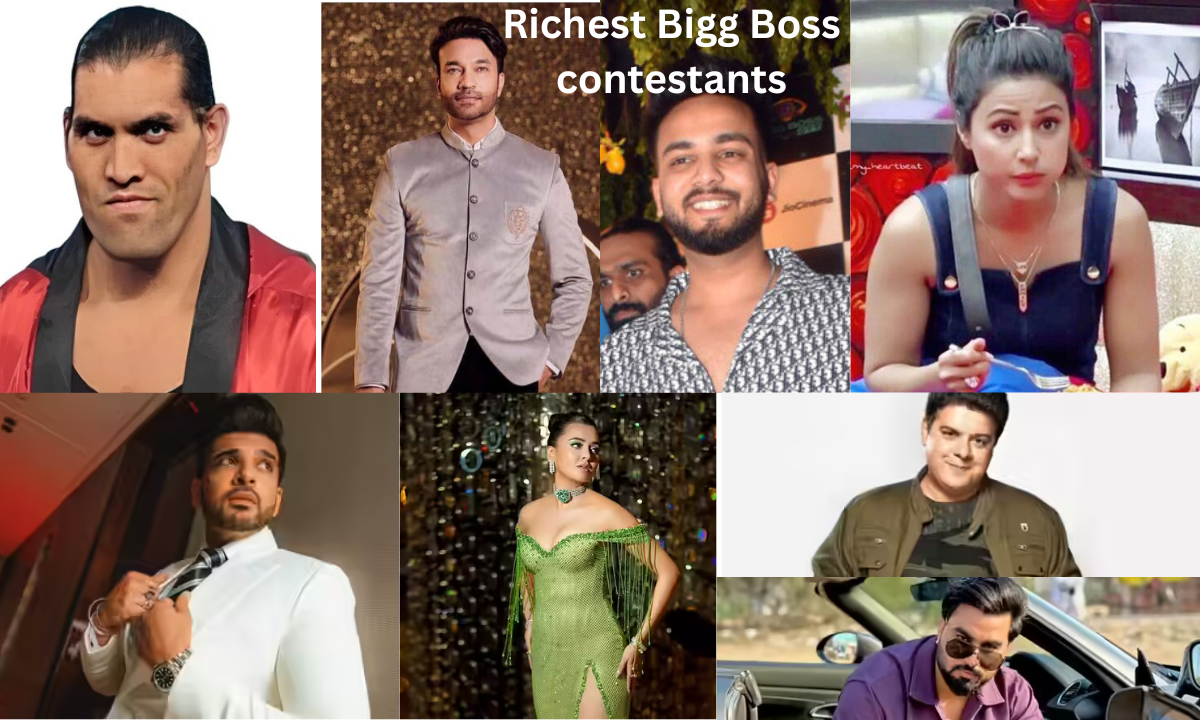 Richest Bigg Boss Contestants