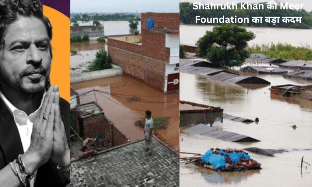 meer foundation